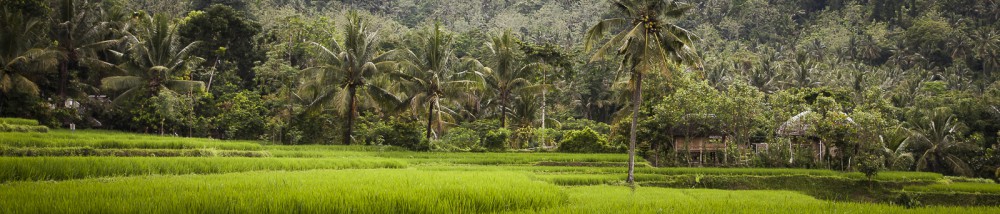 The rice paddies and village near Kerta Gangga waterfalls, Lombo