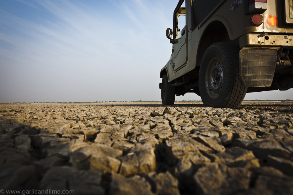 Driving on the salt lake at Little Rann, Gujarat, India (Februar